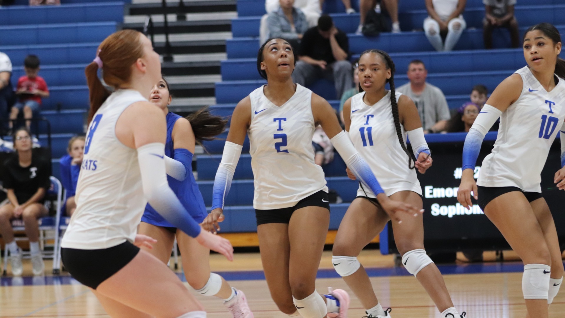 Slide 2 - Tem-Cats continue climb in district standings with sweep of Shoemaker