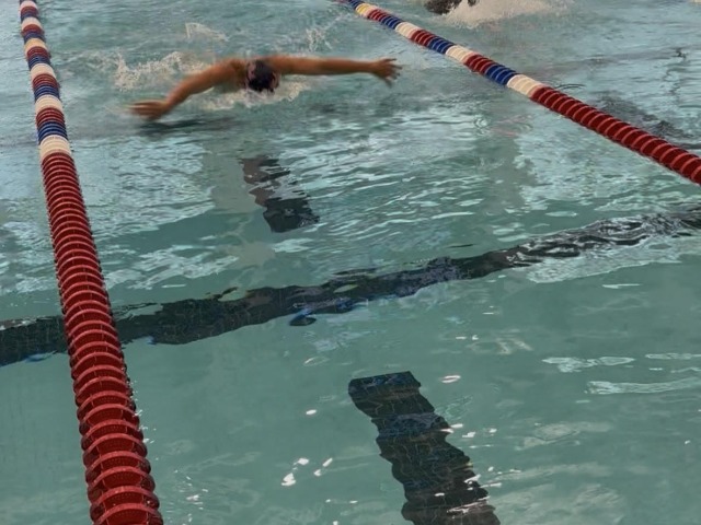Coed Varsity Swim and Dive gallery