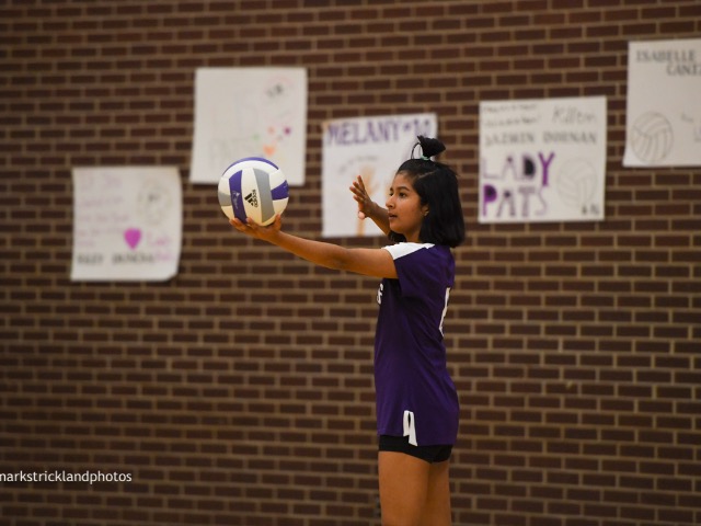 Girls 7th Grade Volleyball Gallery Images