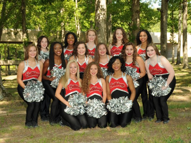 2018-19 White Hall High School Steppers