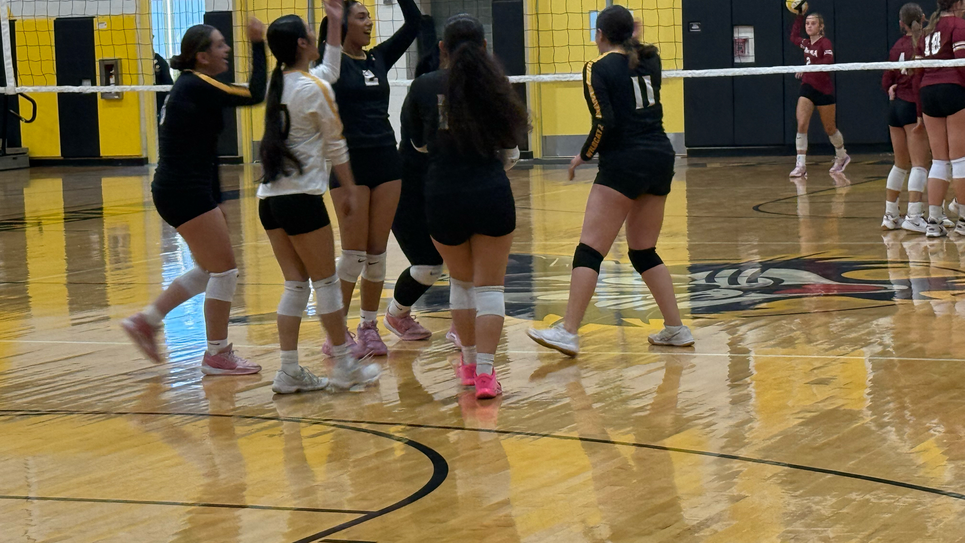 Slide 9 - Lady Catz-volleyball