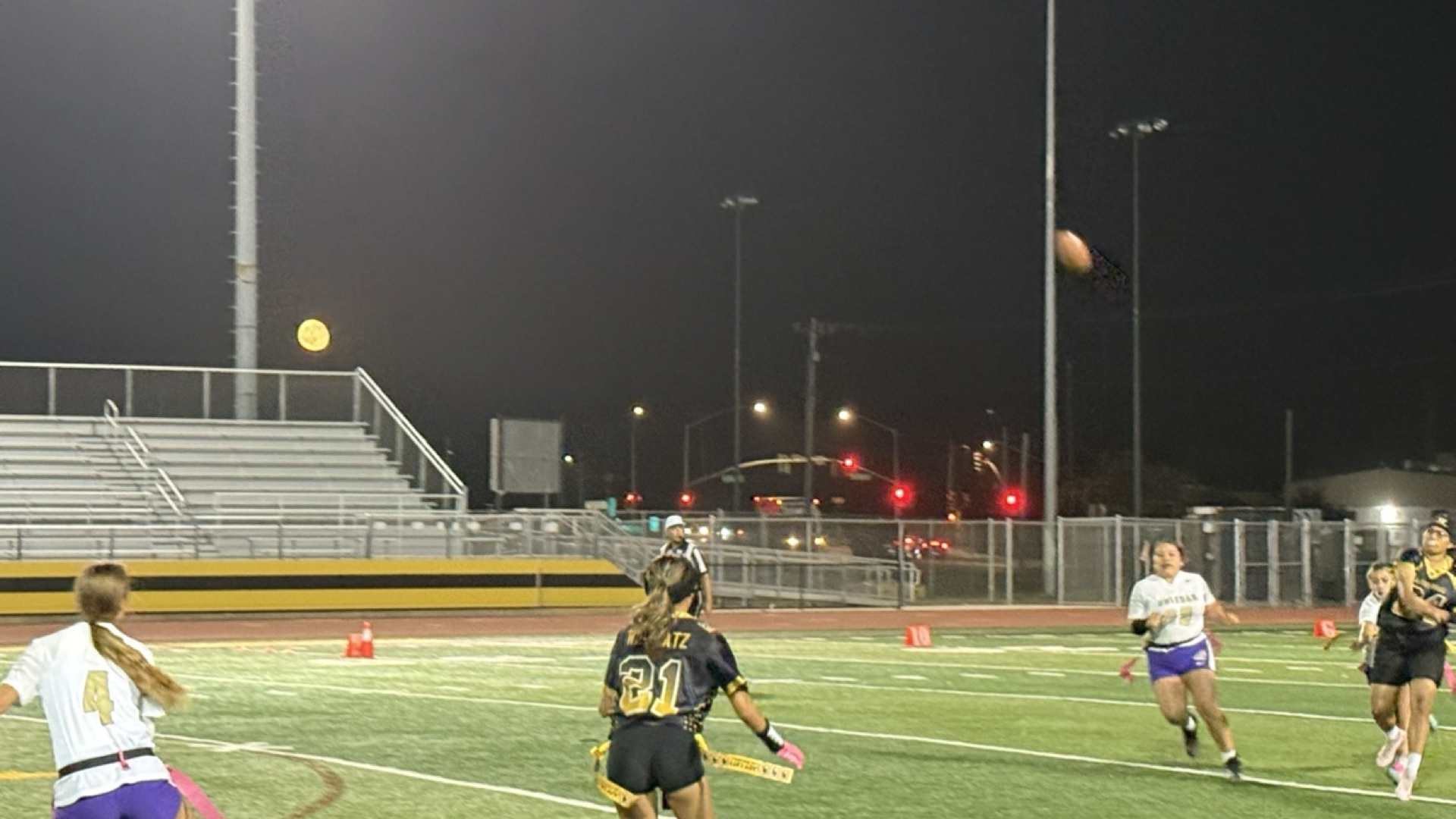 Slide 0 - Go Lady Catz 