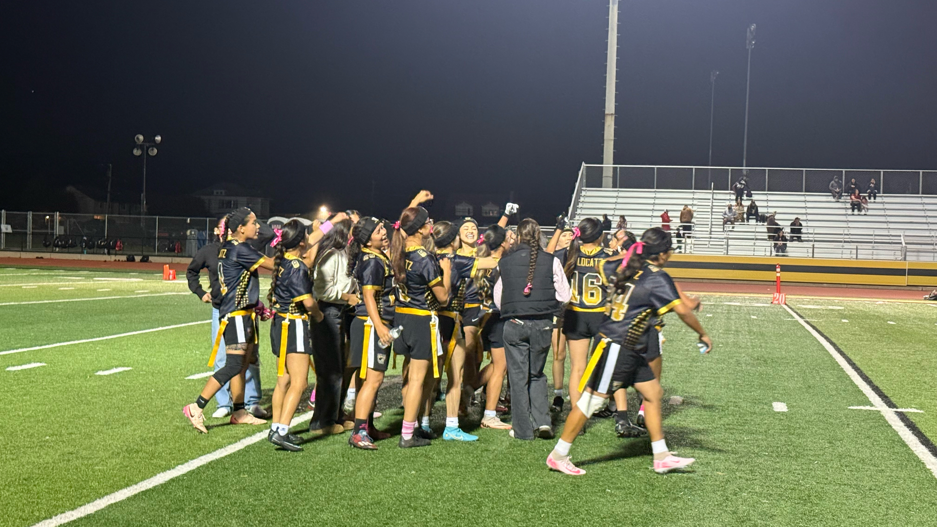 Slide 0 - Let’s go Ladycatz!