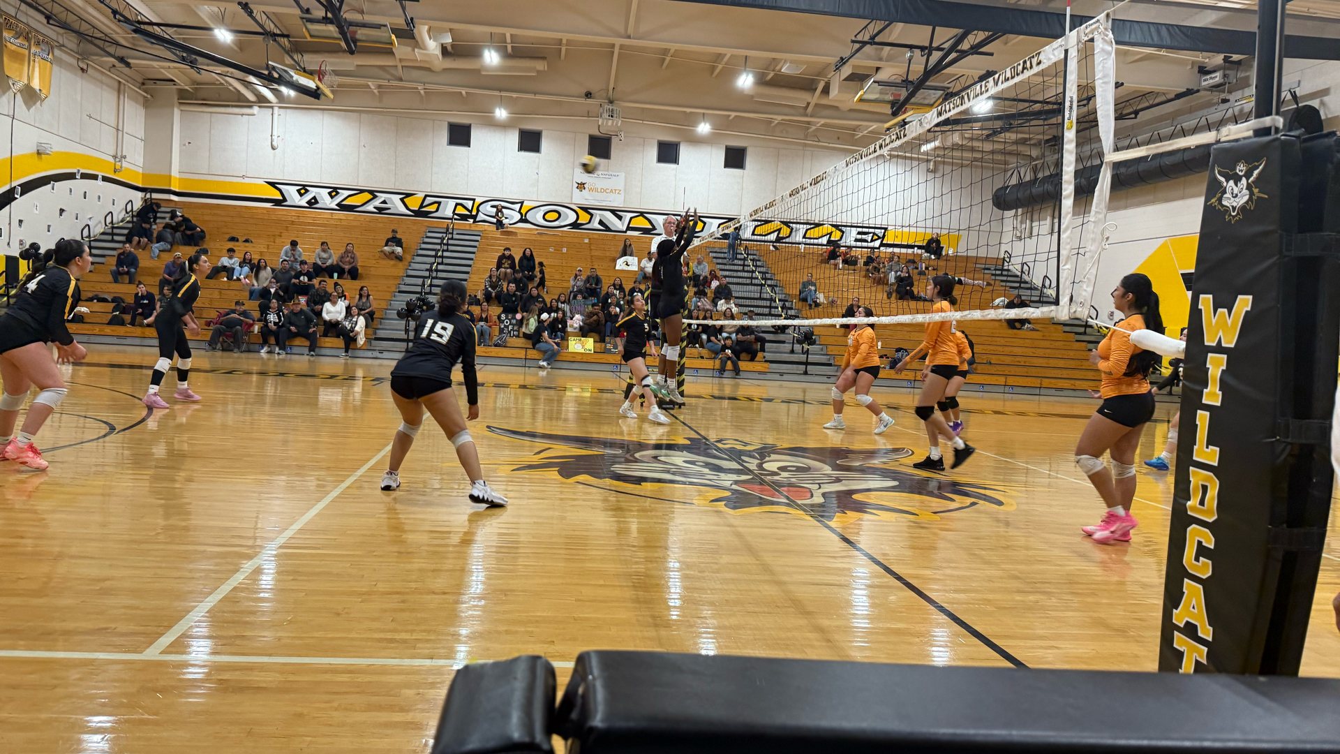 Slide 1 - Volleyball in Action!