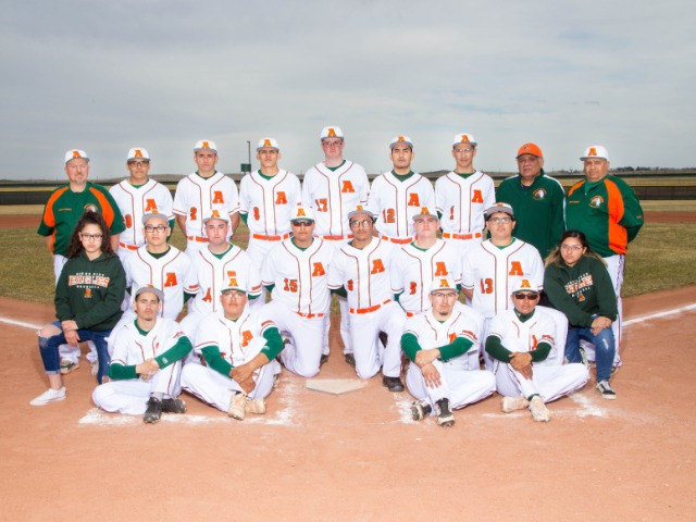 Boys Varsity Baseball 2017-2018