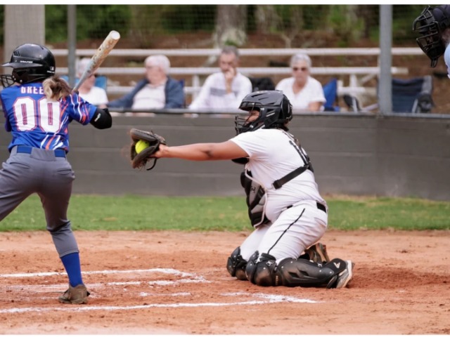 Girls Varsity Softball Gallery Images