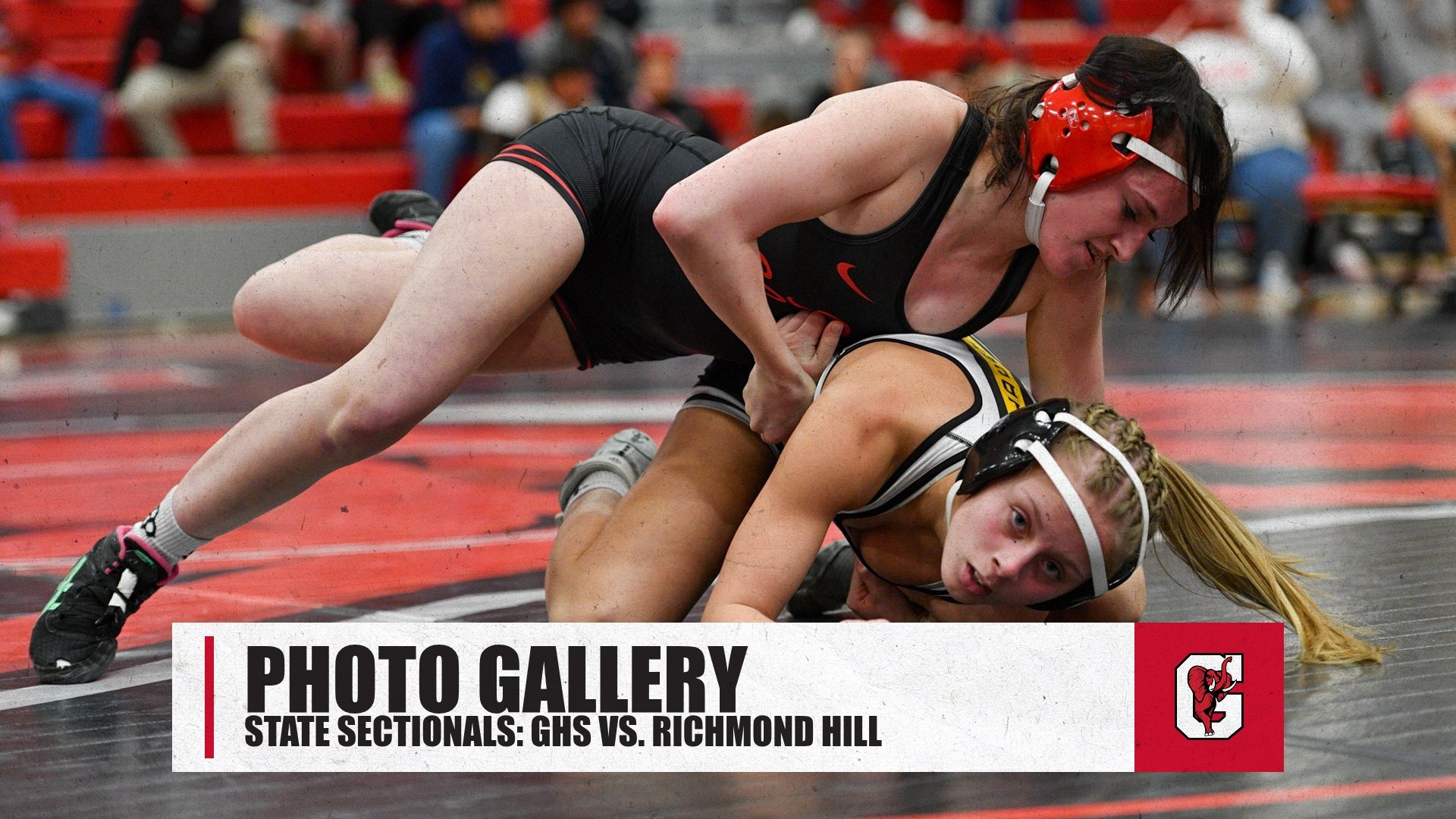 Slide 3 - Photos available for view and download