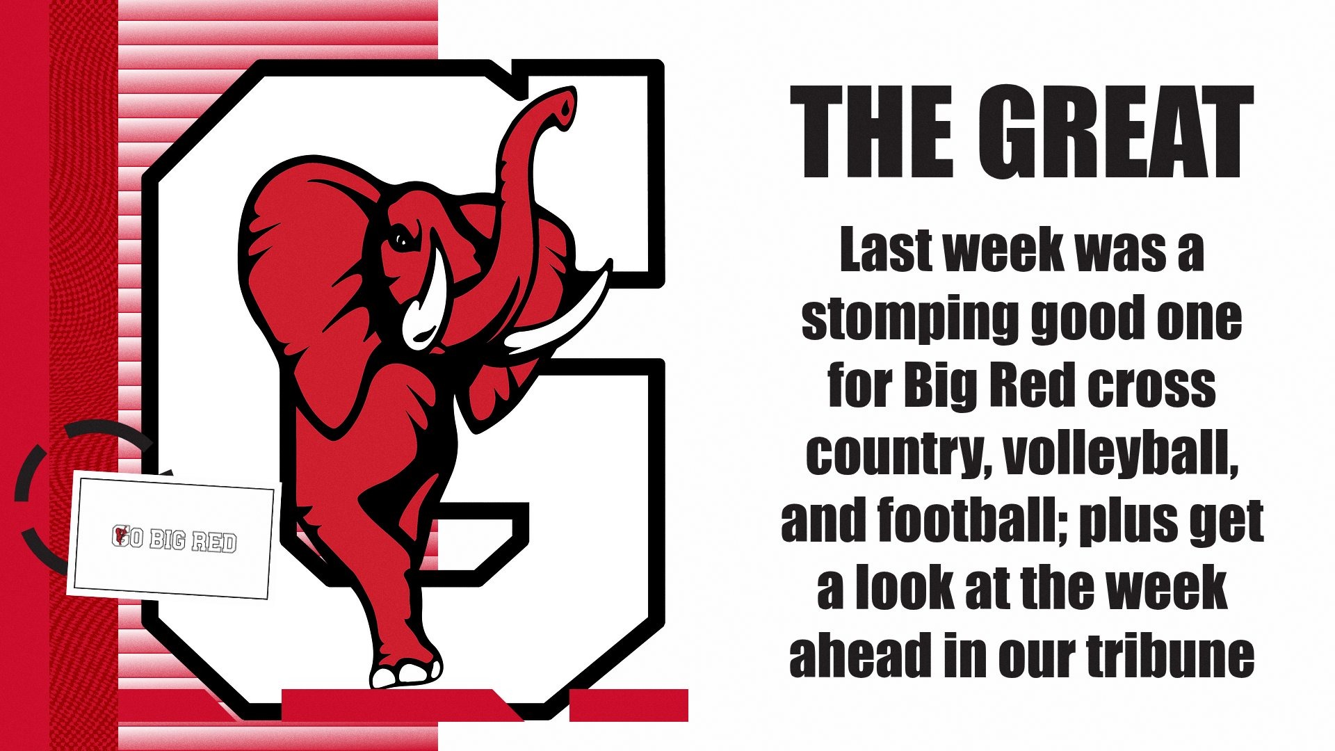 Slide 0 - Read up on the Red Elephants in our latest tribune