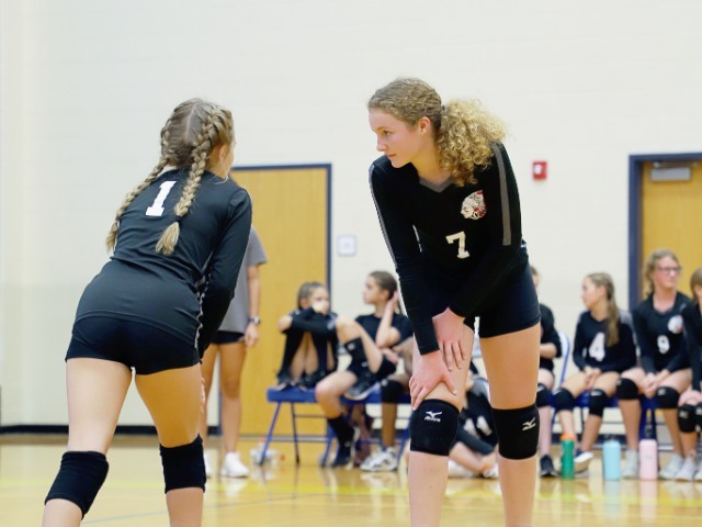 Girls Varsity Volleyball Gallery Images