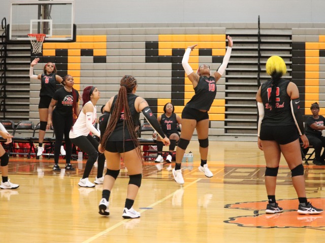 Girls Varsity Volleyball gallery