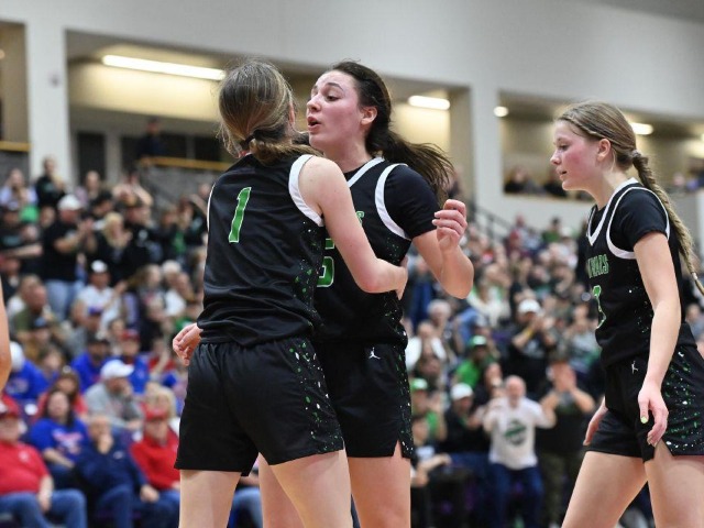 vs Patrick Henry Regional Final (Erin Caldwell Register)