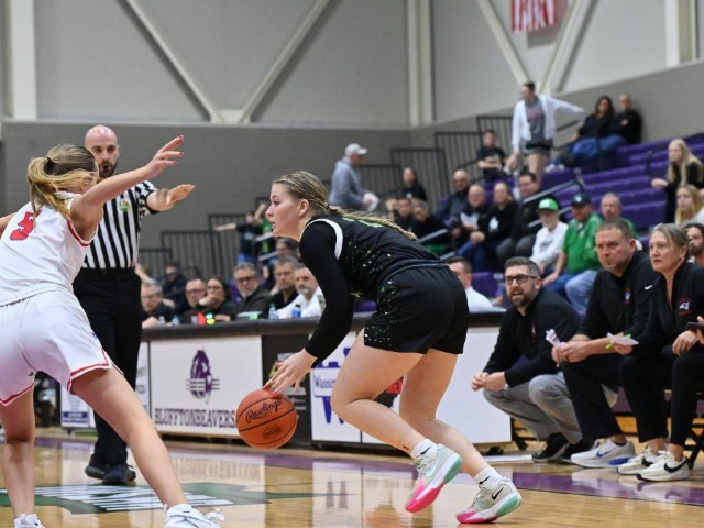 vs Patrick Henry Regional Final (Erin Caldwell Register)