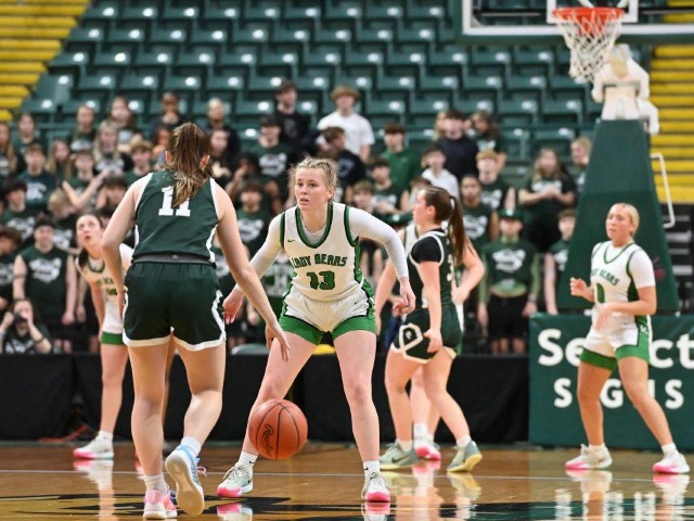 Final Four--vs Canton Central Catholic--(Erin Caldwell Sandusky Register)