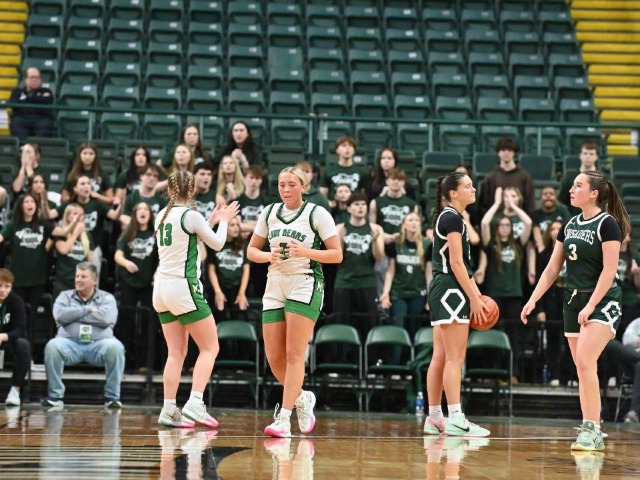 Final Four--vs Canton Central Catholic--(Erin Caldwell Sandusky Register)