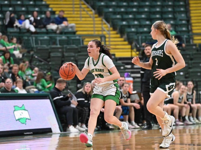 Final Four--vs Canton Central Catholic--(Erin Caldwell Sandusky Register)