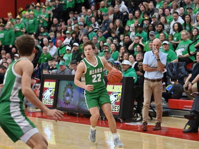 Regional Final vs Columbus Academy (Erin Caldwell--Sandusky Register)