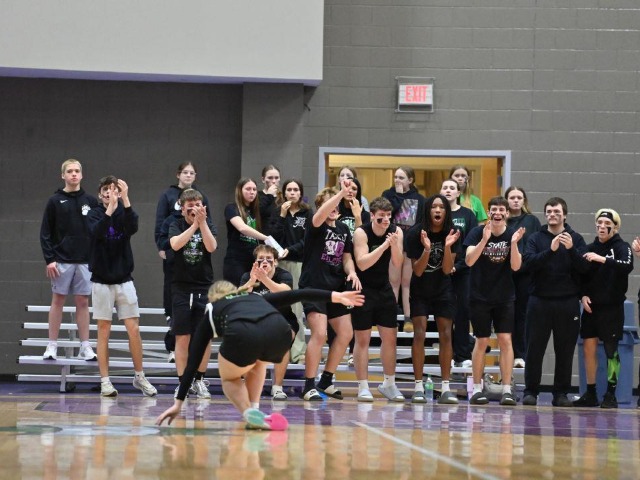 vs Patrick Henry Regional Final (Erin Caldwell Register)