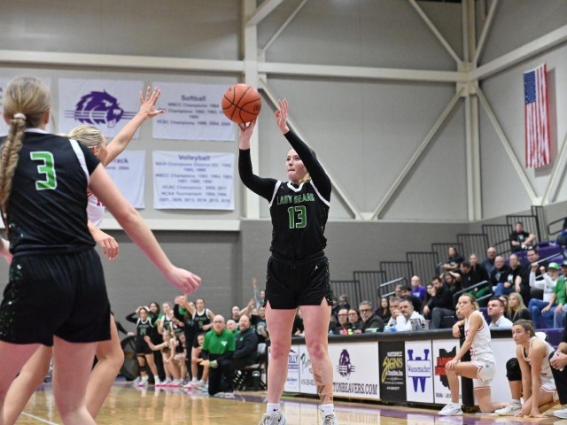 vs Patrick Henry Regional Final (Erin Caldwell Register)