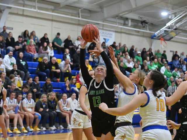 @ Clyde (Erin Caldwell--Sandusky Register)