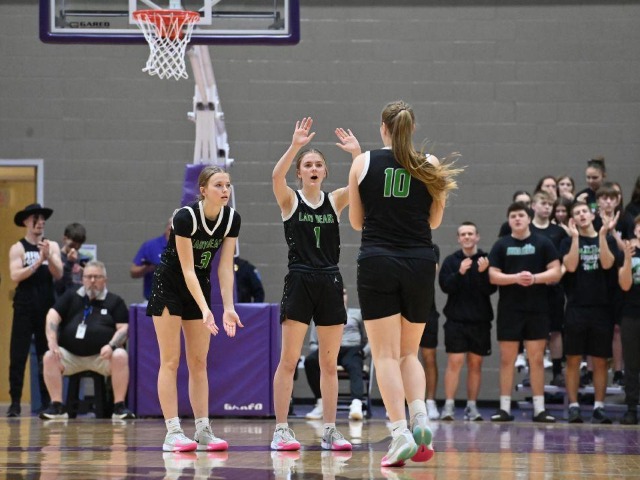 vs Patrick Henry Regional Final (Erin Caldwell Register)