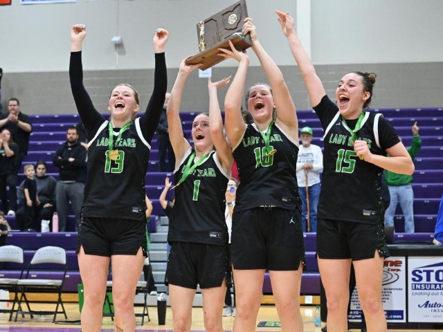 vs Patrick Henry Regional Final (Erin Caldwell Register)