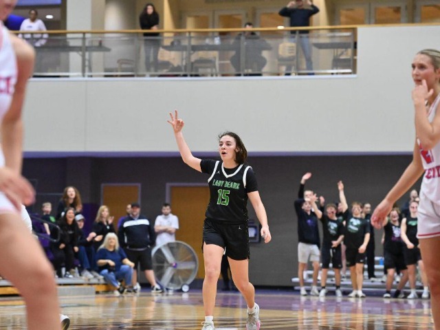 vs Patrick Henry Regional Final (Erin Caldwell Register)