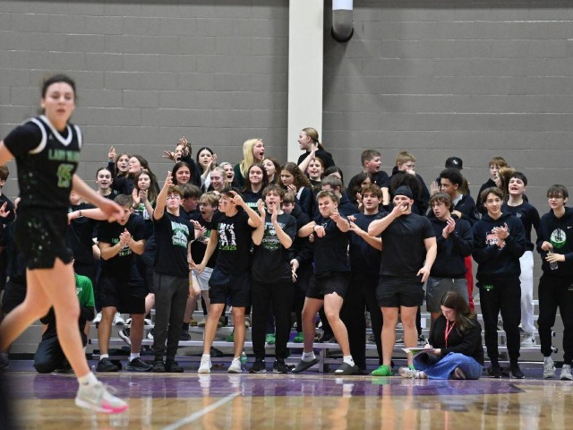 vs Patrick Henry Regional Final (Erin Caldwell Register)