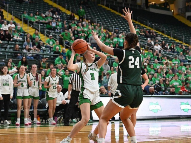 Final Four--vs Canton Central Catholic--(Erin Caldwell Sandusky Register)