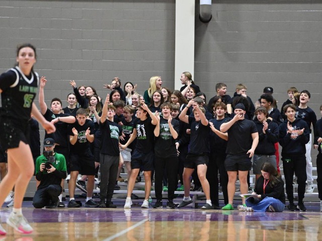 vs Patrick Henry Regional Final (Erin Caldwell Register)