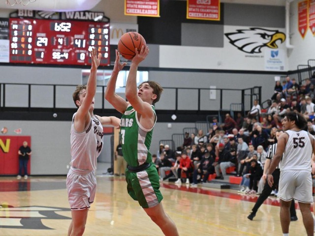 Regional Final vs Columbus Academy (Erin Caldwell--Sandusky Register)