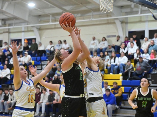 @ Clyde (Erin Caldwell--Sandusky Register)