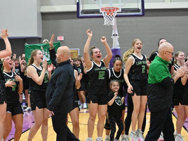 vs Patrick Henry Regional Final (Erin Caldwell Register)