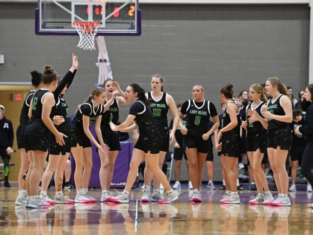 vs Patrick Henry Regional Final (Erin Caldwell Register)