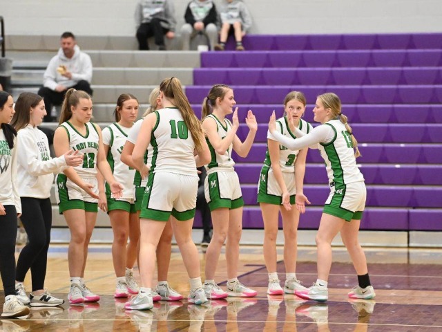 District Championship vs Wynford (Erin Caldwell Sandusky Register) 