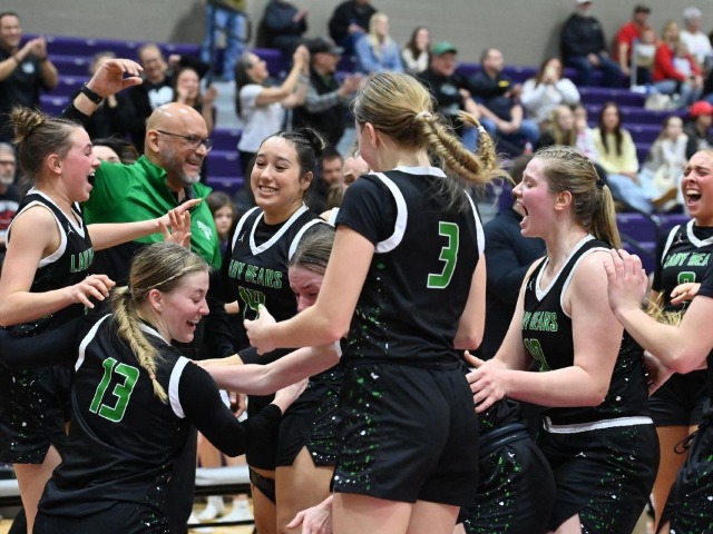 vs Patrick Henry Regional Final (Erin Caldwell Register)