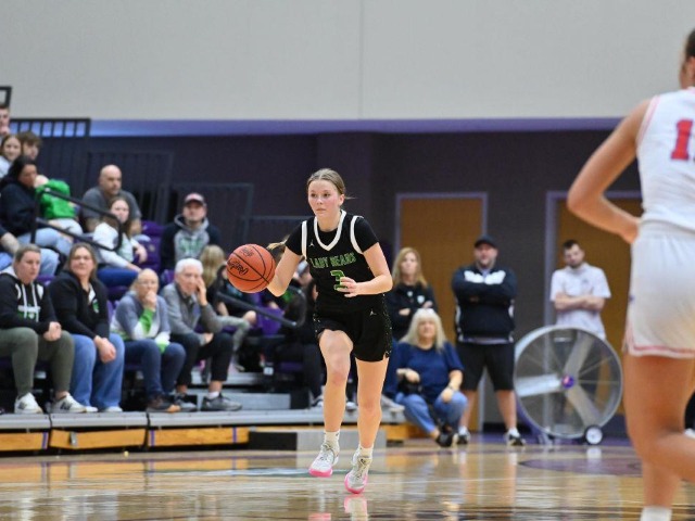 vs Patrick Henry Regional Final (Erin Caldwell Register)