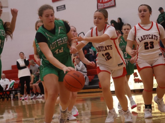 Girls Freshman Basketball Gallery Images