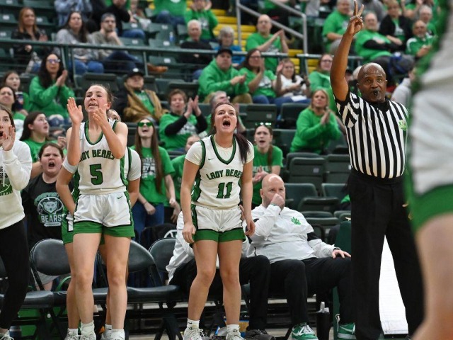 Final Four--vs Canton Central Catholic--(Erin Caldwell Sandusky Register)