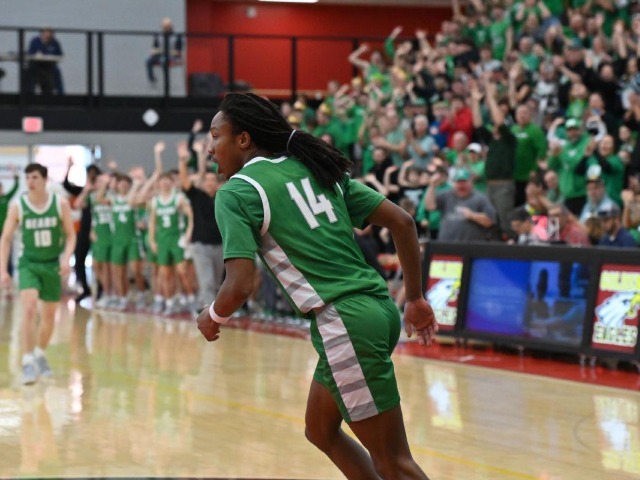 Regional Final vs Columbus Academy (Erin Caldwell--Sandusky Register)