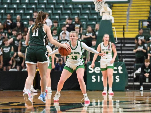 Final Four--vs Canton Central Catholic--(Erin Caldwell Sandusky Register)
