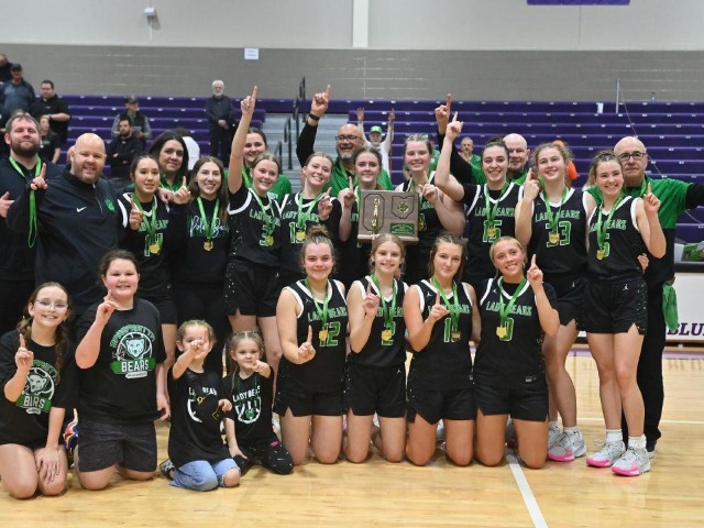 vs Patrick Henry Regional Final (Erin Caldwell Register)