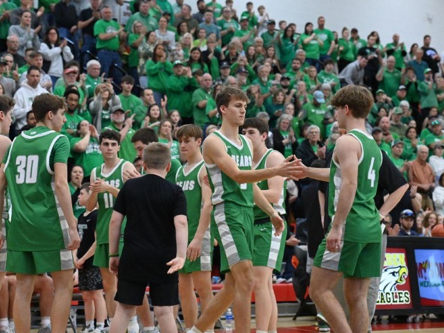 Regional Final vs Columbus Academy (Erin Caldwell--Sandusky Register)