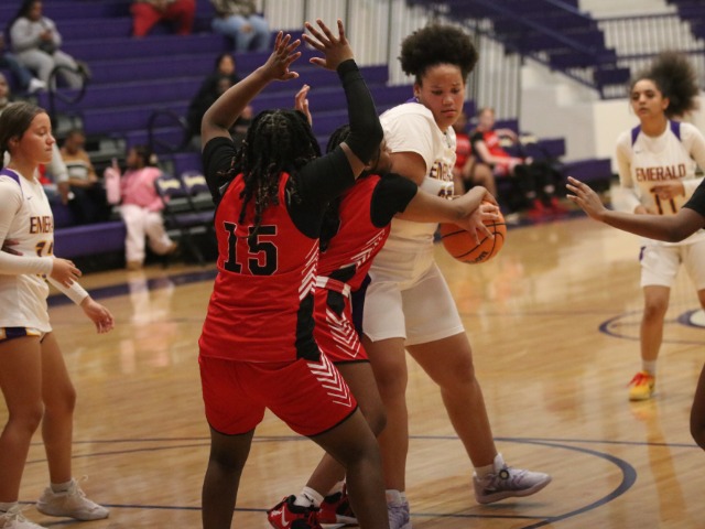 Girls JV Basketball gallery