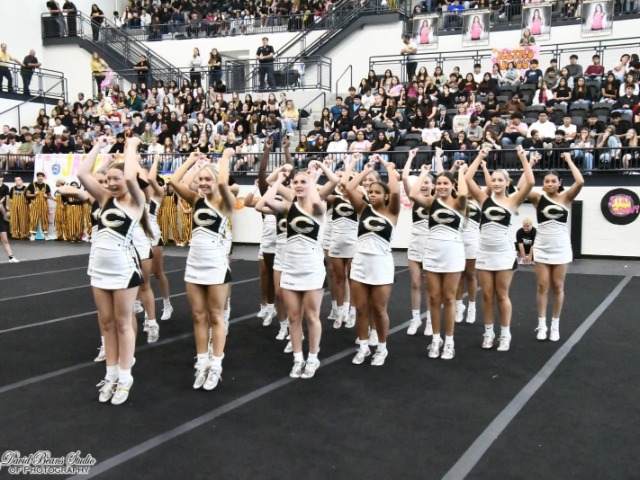 Coed Varsity Cheerleading Gallery Images