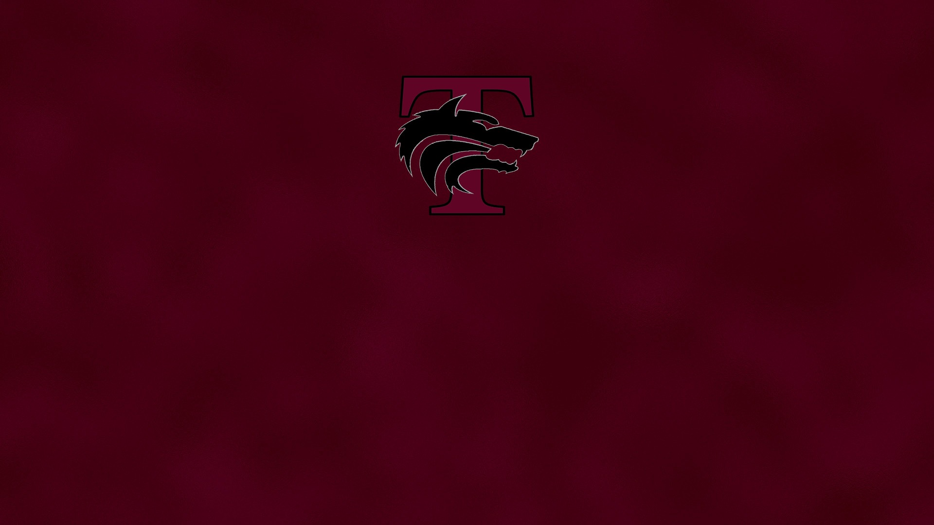 Timberview High School (Arlington, TX) Athletics