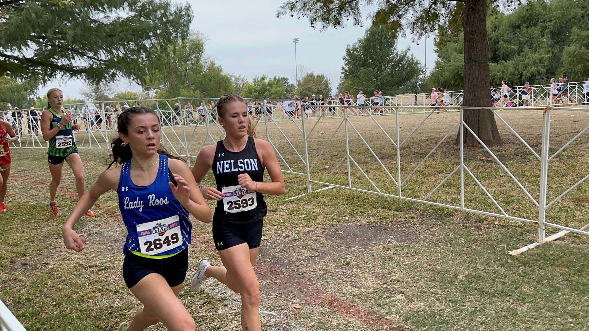 Slide 2 - Boone Shines At State