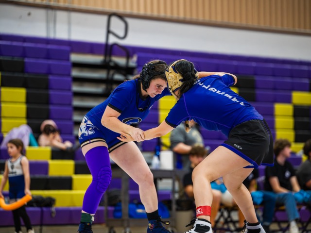Girls Varsity Wrestling gallery