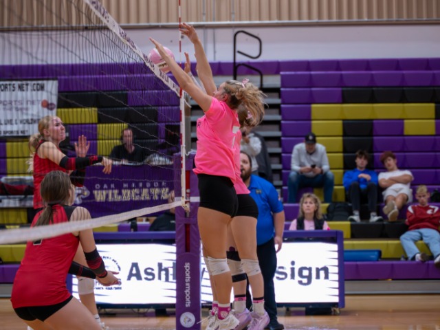 Girls Varsity Volleyball gallery