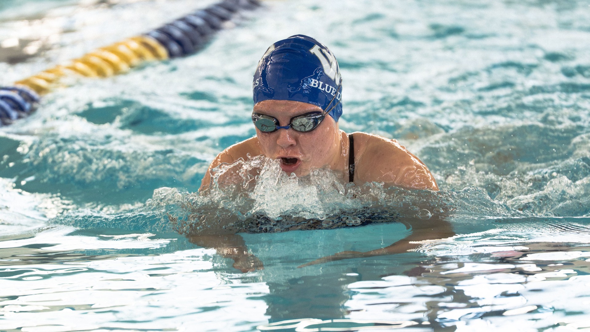 Wa-Hi Girls Swim and Dive Team