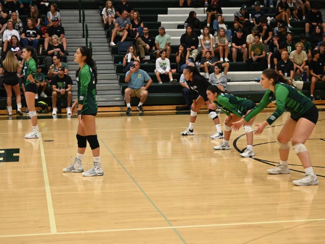 Volleyball vs Claremont